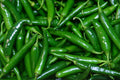 Fresh Green Chilli (Hari Mirch)