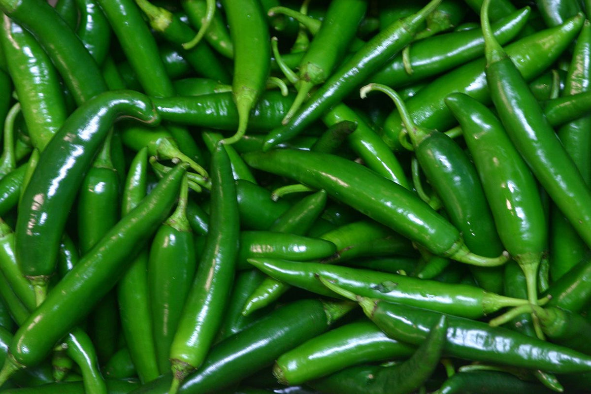 Fresh Green Chilli (Hari Mirch)