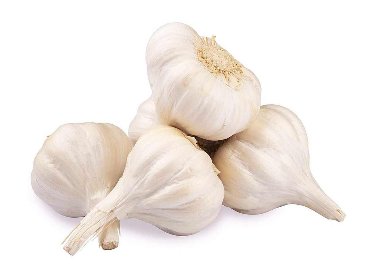 Fresh Garlic (Lahsun large size) 100g