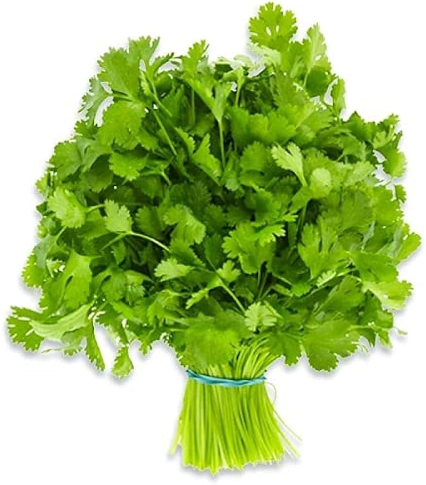 Fresh Dhaniya Patta 50g