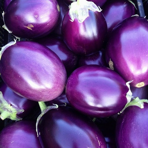 Fresh Purple  Brinjal (large size) 400g
