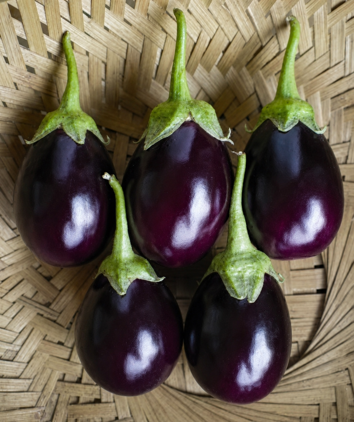 ताज़ा बैंगन | Fresh Brinjal | Fresh Purple Eggplant