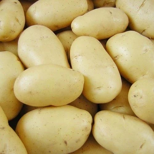 White Aloo (big Size)
