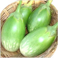 Fresh Green Round Brinjal (Gol Baigan)