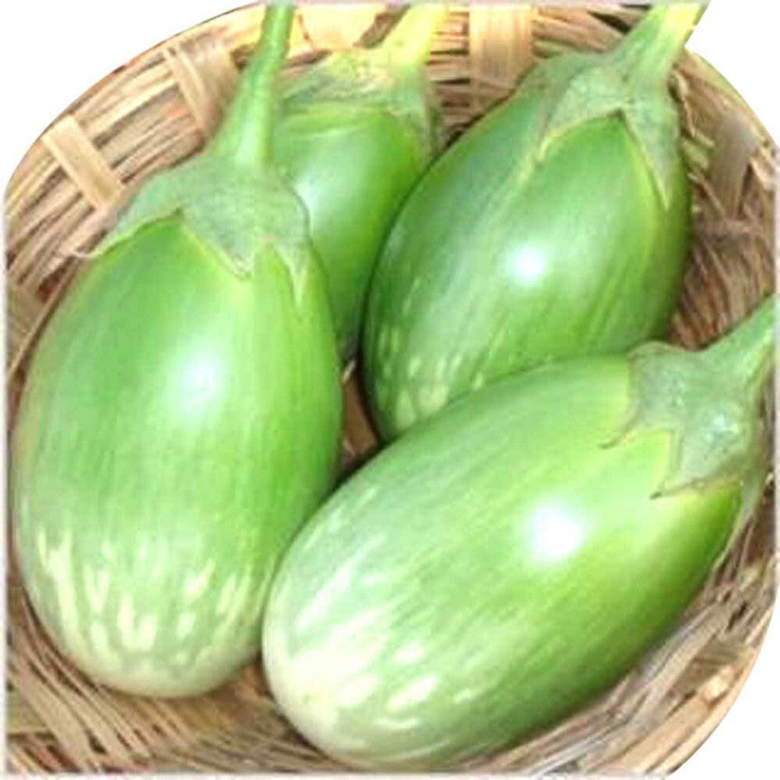 Fresh Green Round Brinjal (Gol Baigan)