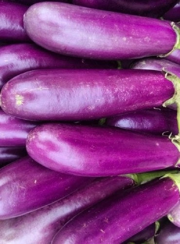 Fresh Purple Long Brinjal (Lamba Baigan)