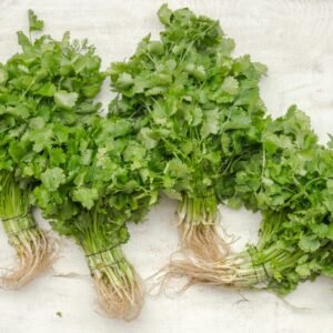 coriander leaves ( dhaniya patta)